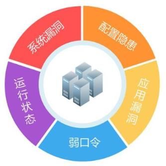 安全漏洞内容