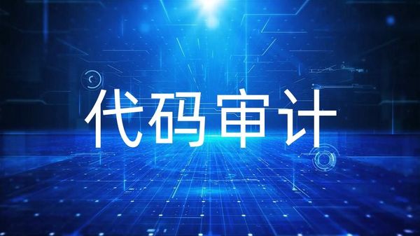 夜视辅助感知设备图像处理软件代码审计项目验收测试